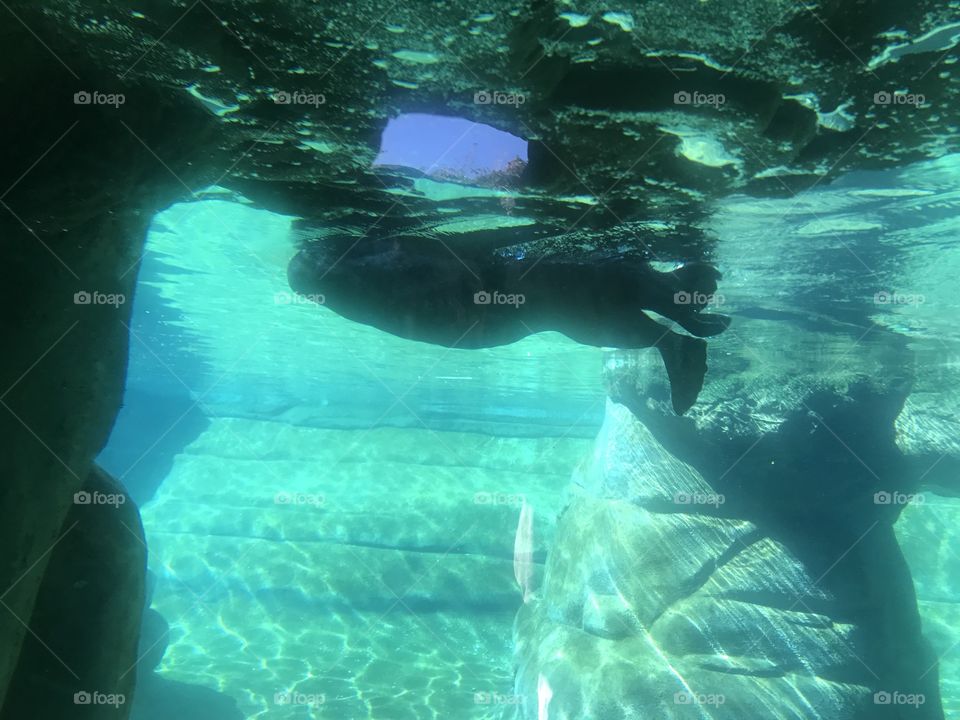 Blue sunlight light in water