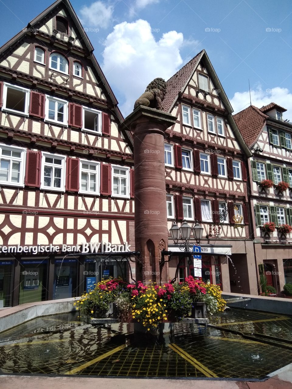 Calw
