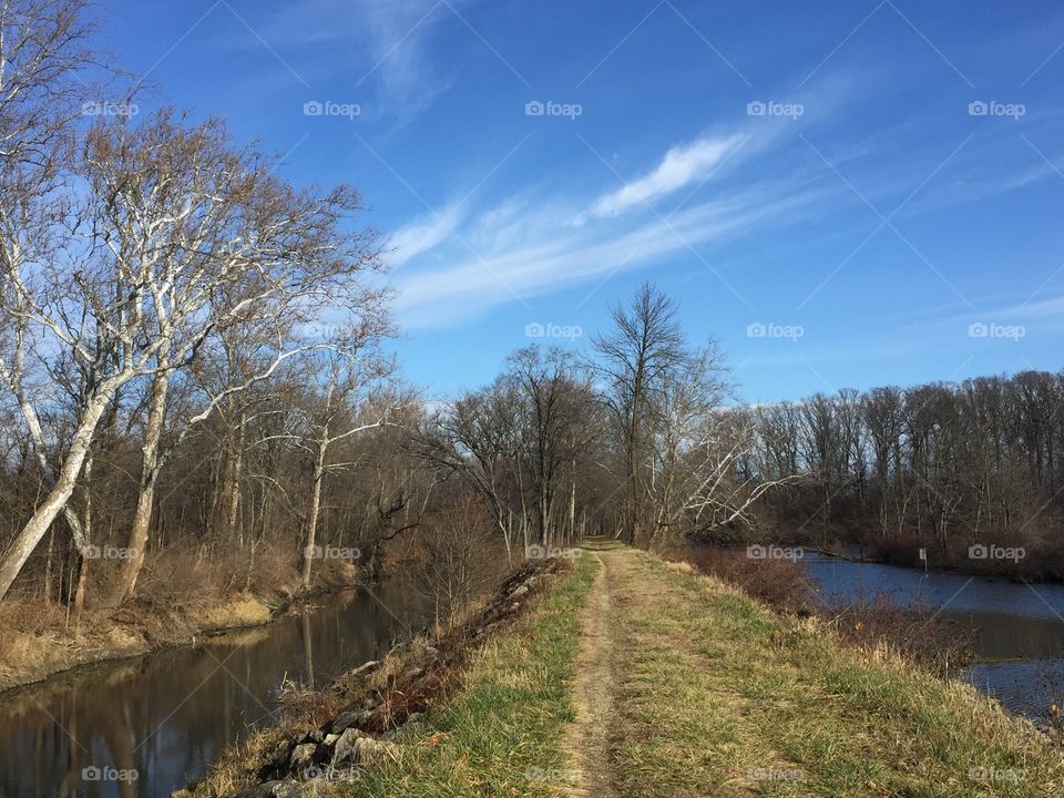 Water on Both  Sides of Path hidden in my favorite forest near my home in Ohio