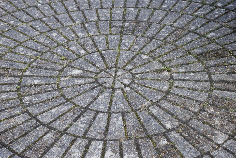 Circular pattern on a garden driveway with moss growing in between the bricks 