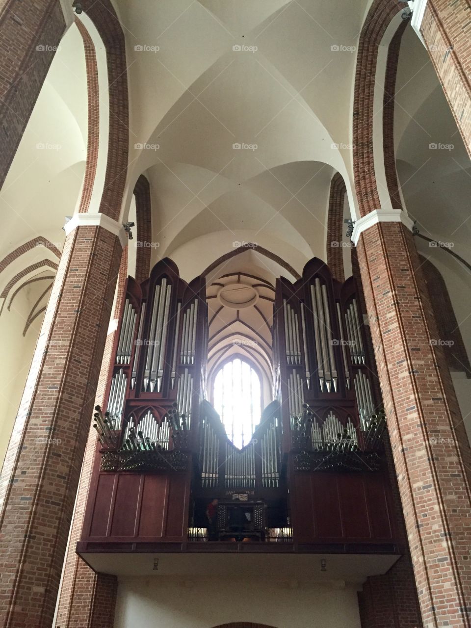 Pipe Organ in the Roman Catholic Church under ceiling