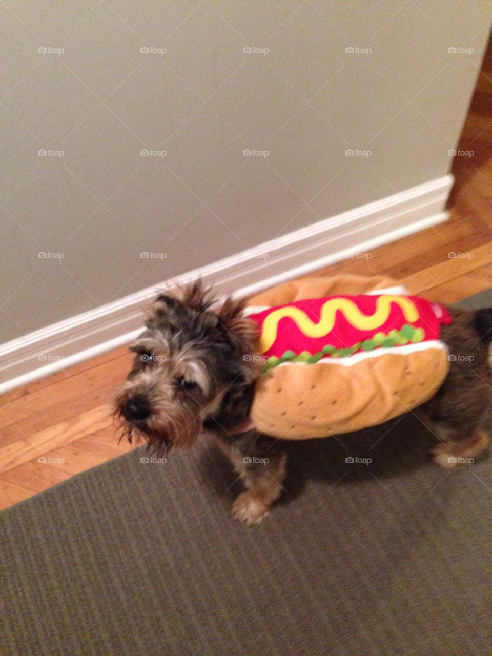 Halloween hot dog