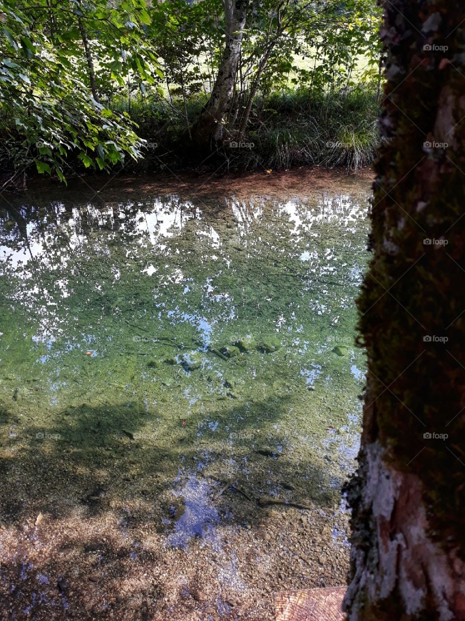 Staying hidden in the nature