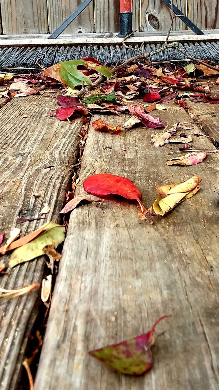 a clash of color  leaves in autumn on wood deck colors of red green orange brown gold swept into a pile