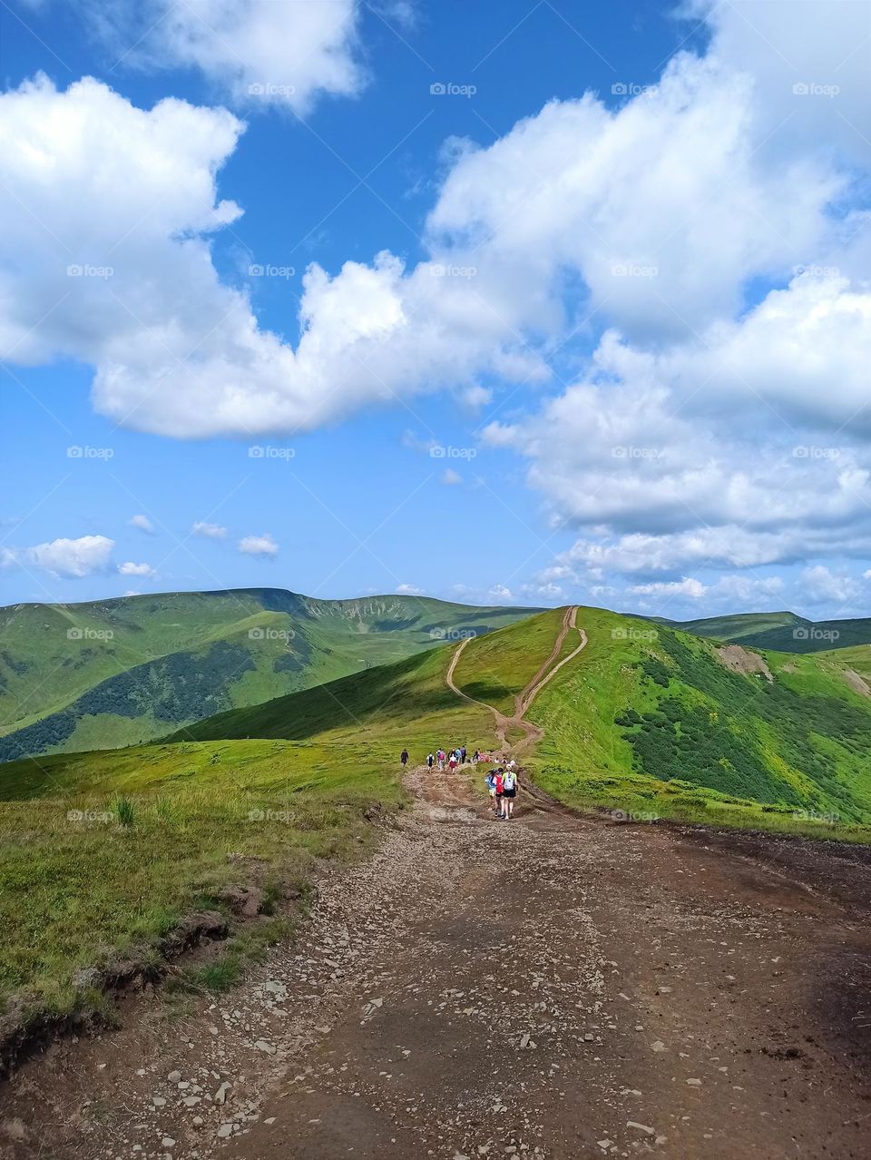 trekking in the mountains. travel to the Carpathian mountains