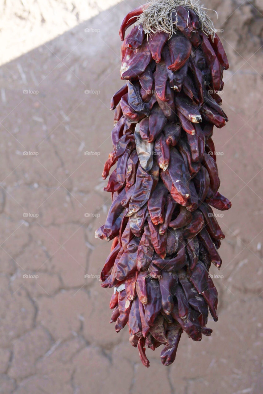 chili rural culture dried by avphoto