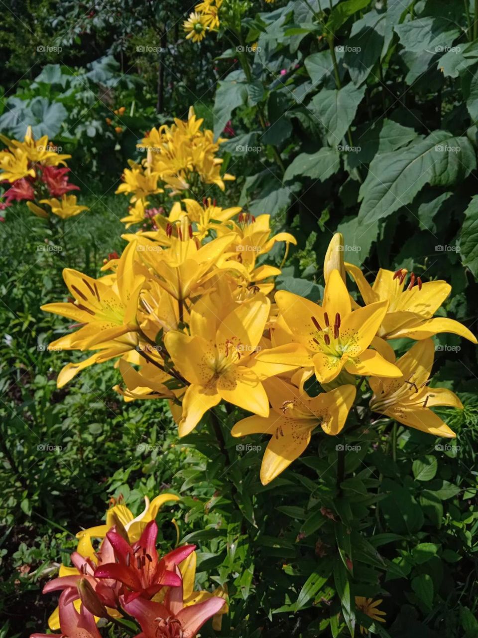 be authentic go green