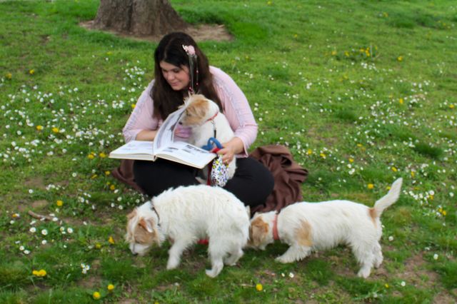 Reading a book at the nature