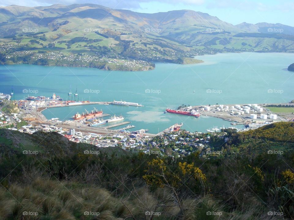 Harbor in New Zealand