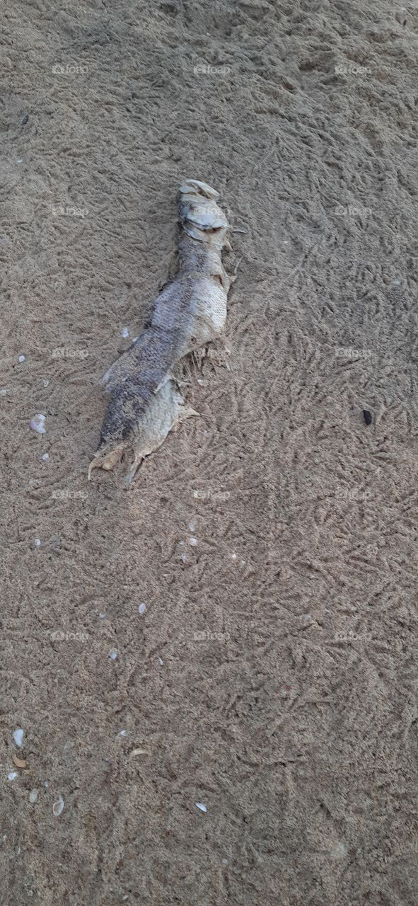 design made by footsteps