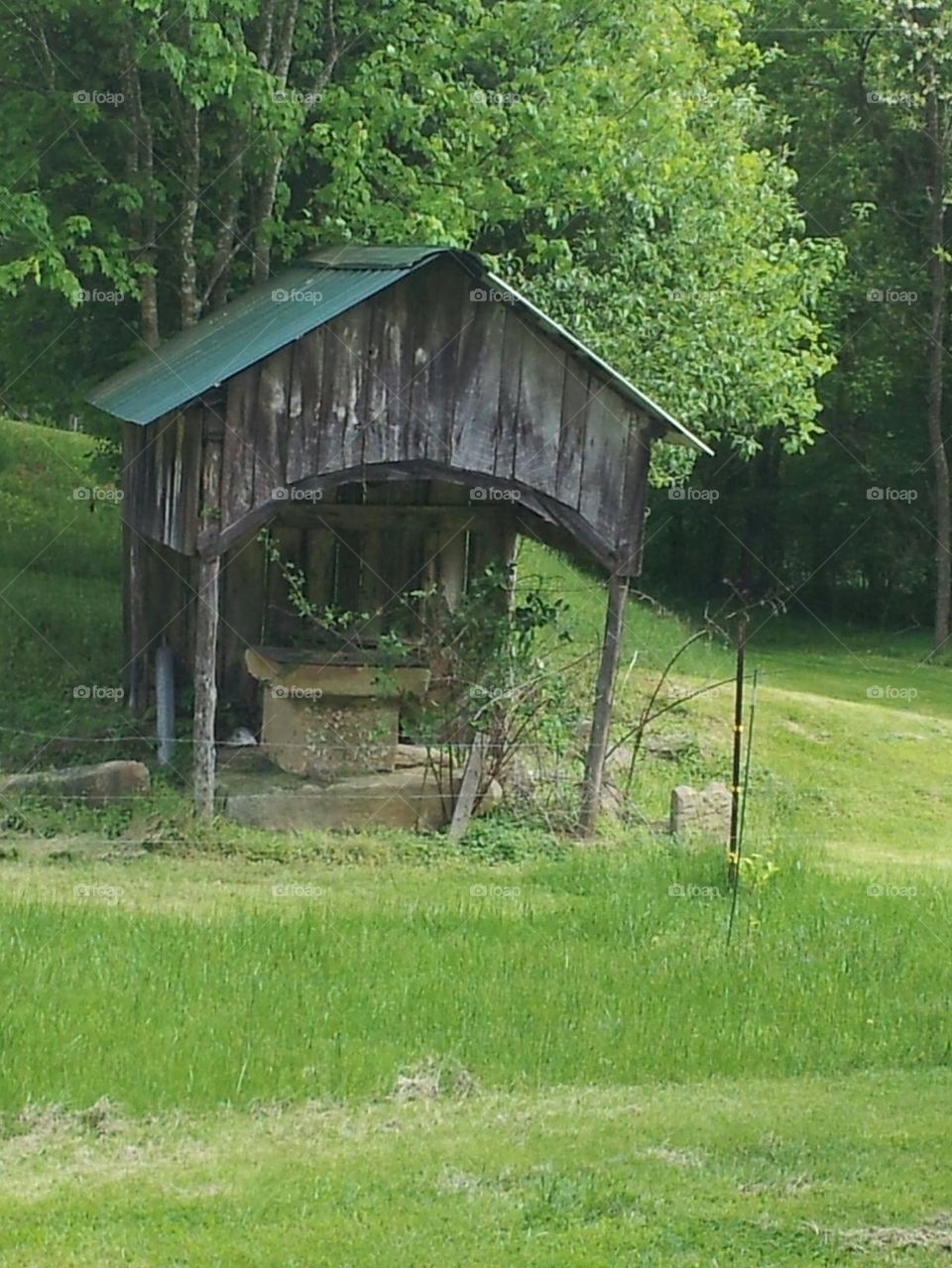Old well