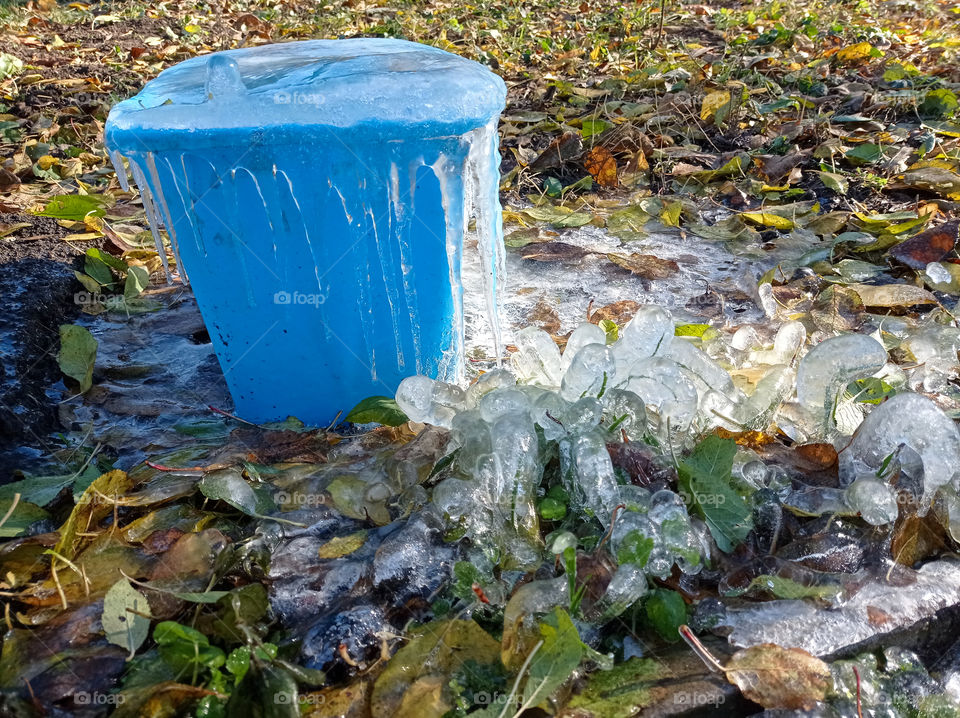 Icy fancy decorations from nature. ice water in a bucket and ice grass.