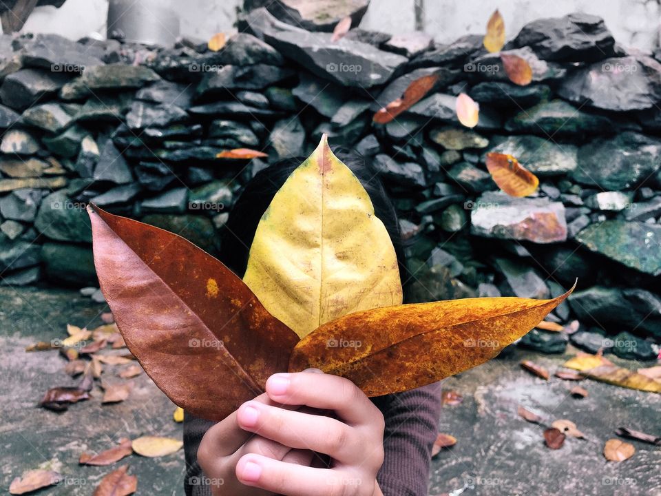 Girl holding leaves
