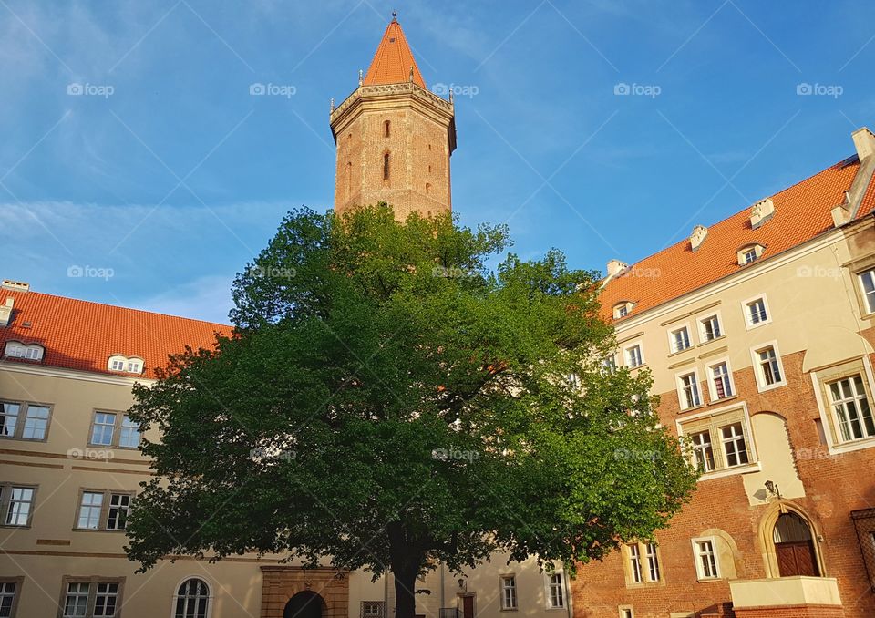 Courtyard of the castle