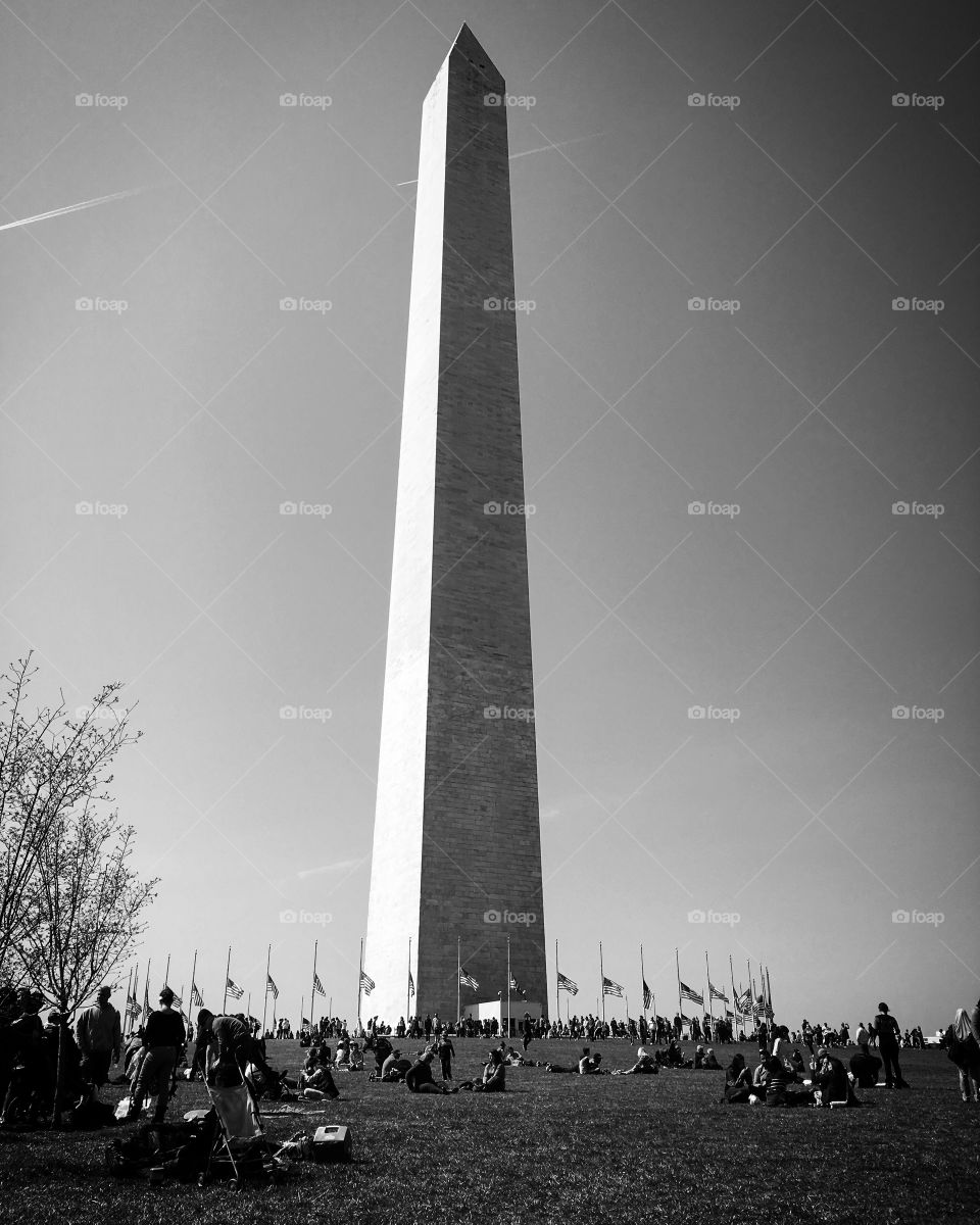 Memorial 
Washington DC 