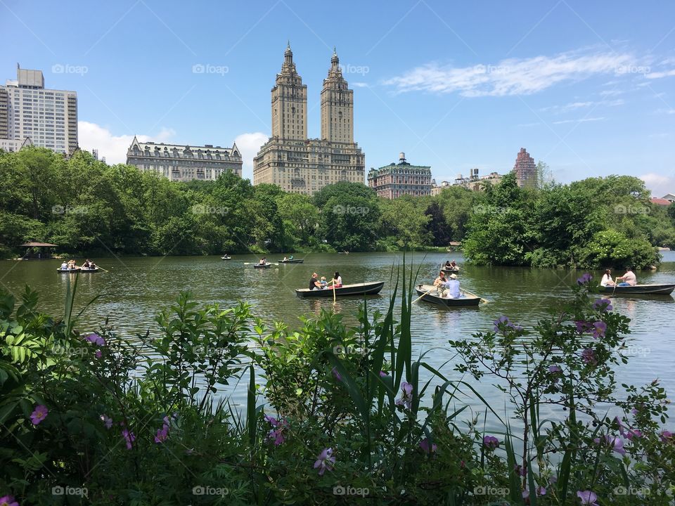 Idyllic afternoon in the park