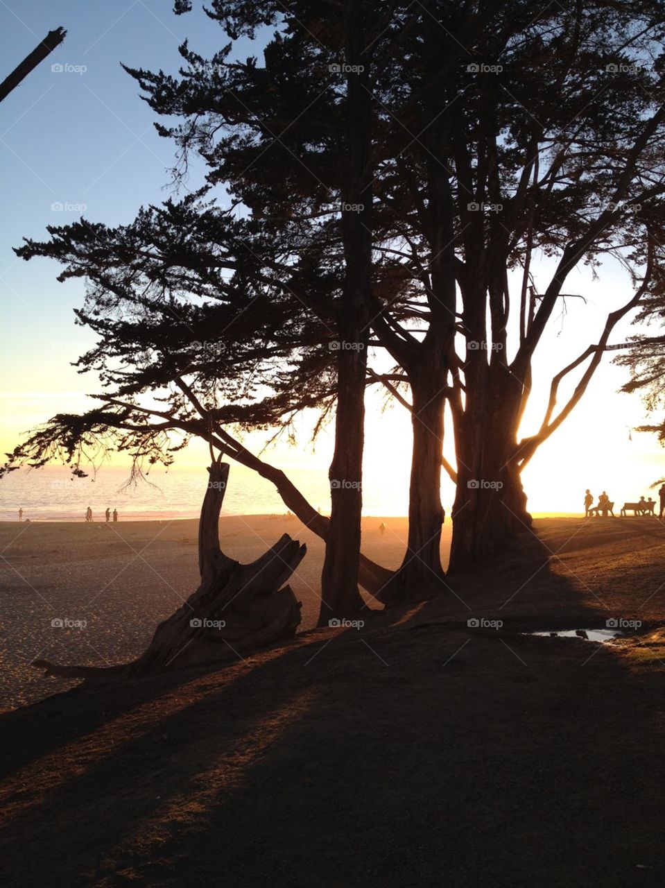 Golden hour at the beach in Santa Cruz, California 