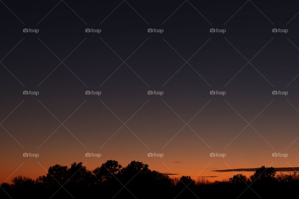 Sunset glow over the trees in the country.