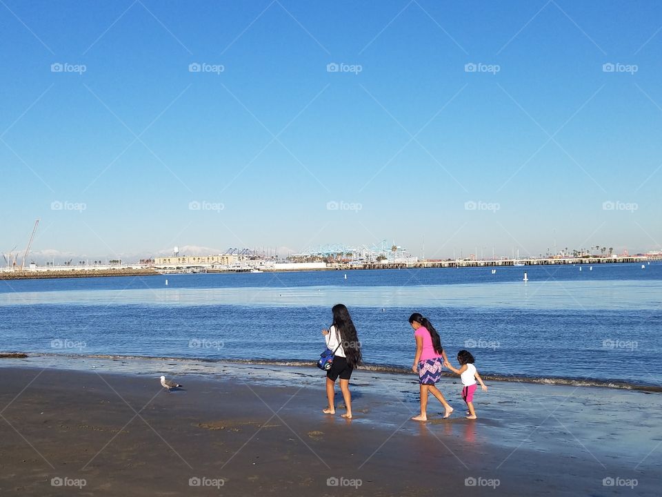 exploring the beach