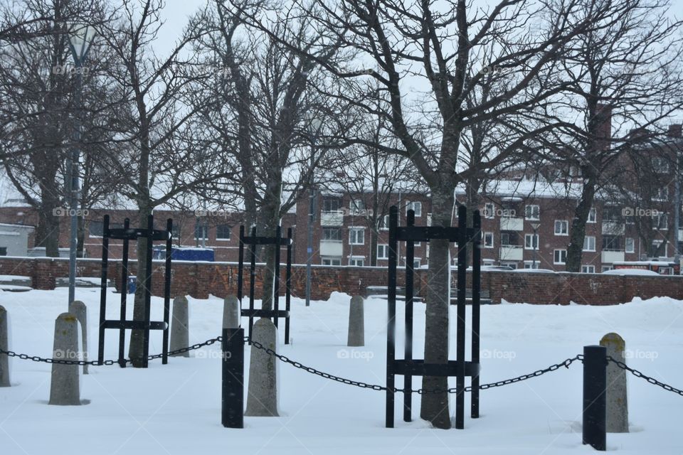 Winter, Snow, Tree, Cold, Wood