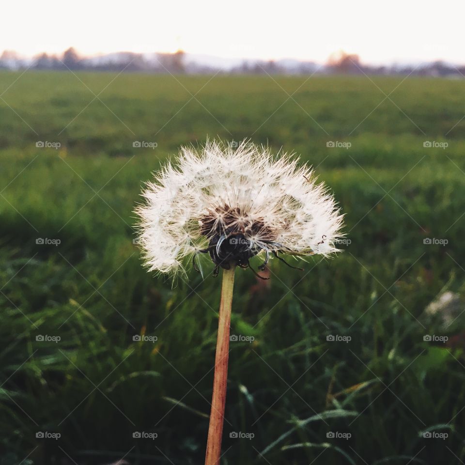 So simple so beautiful. . Autumn impressions. 