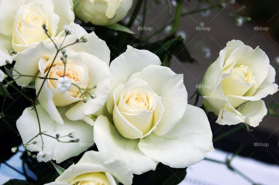 romantic white roses and baby's breath floral Spring wedding bouquet display