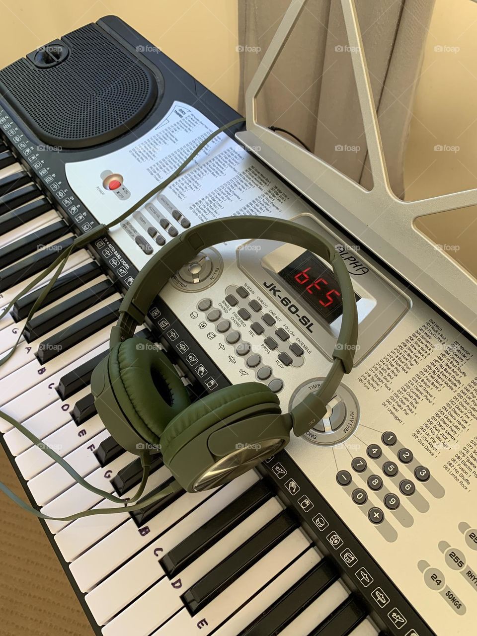 Music is a type of art that goes to the ears straight to the heart. 