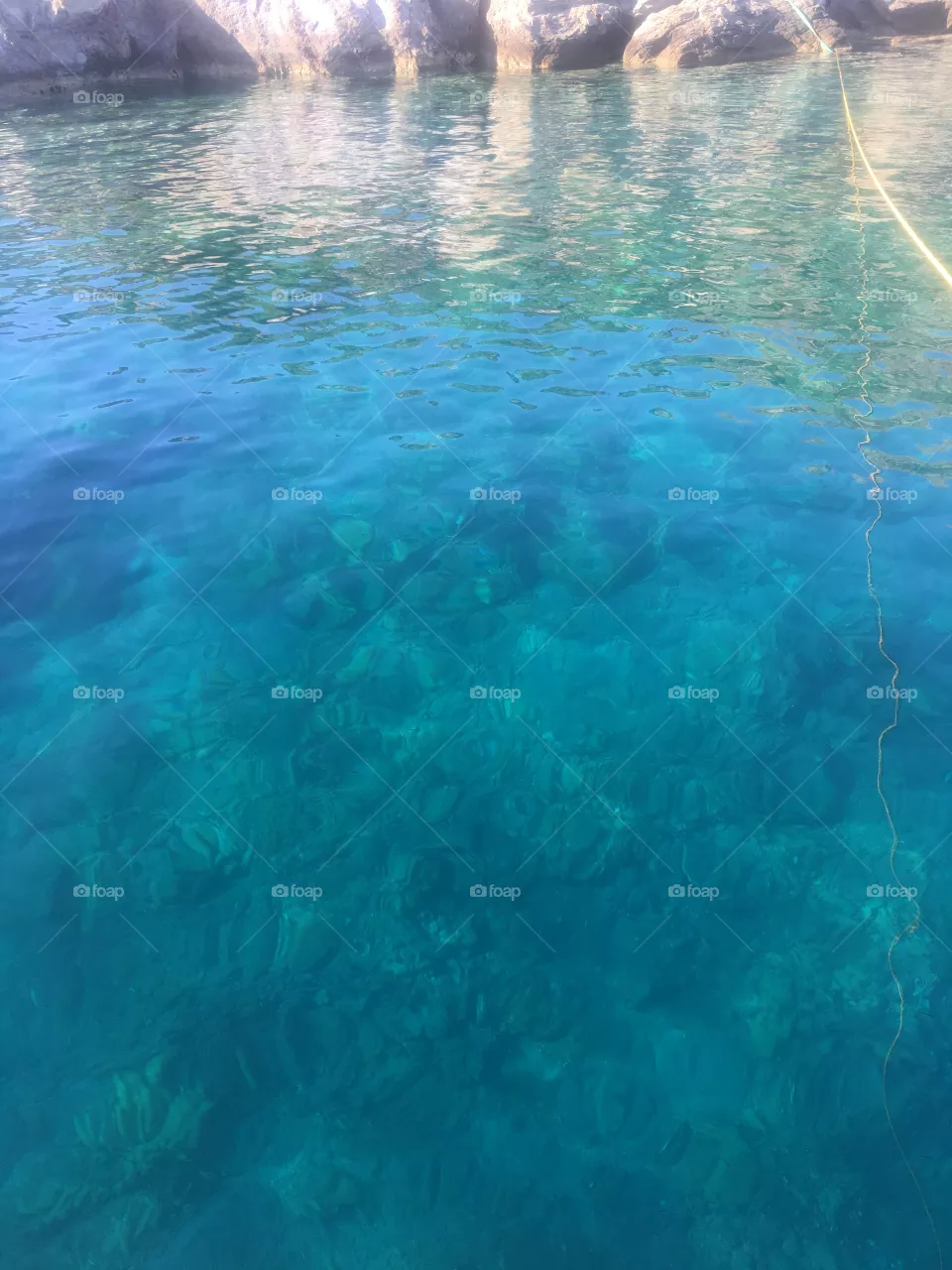 Sea
