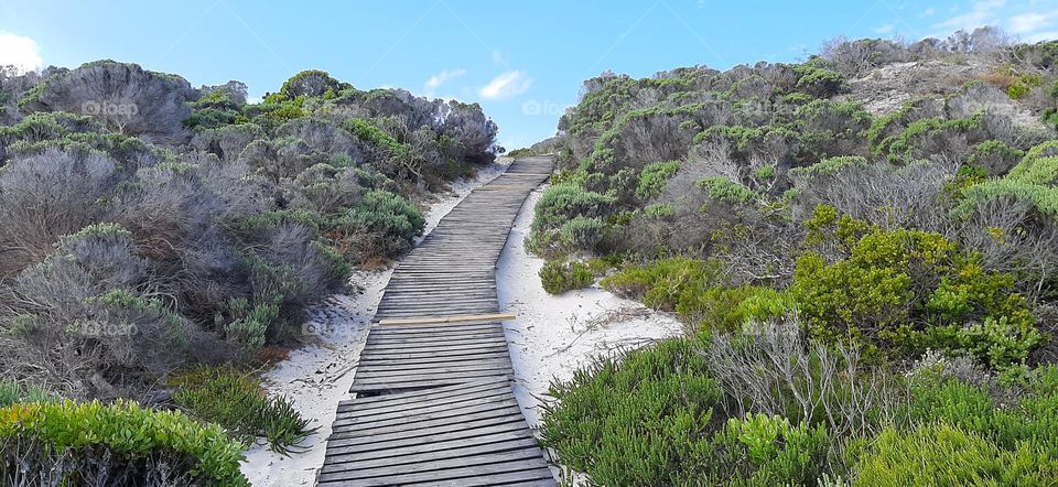 Beach walkway