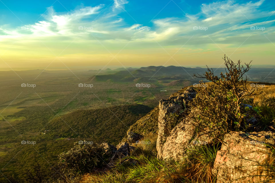 View of sunlight