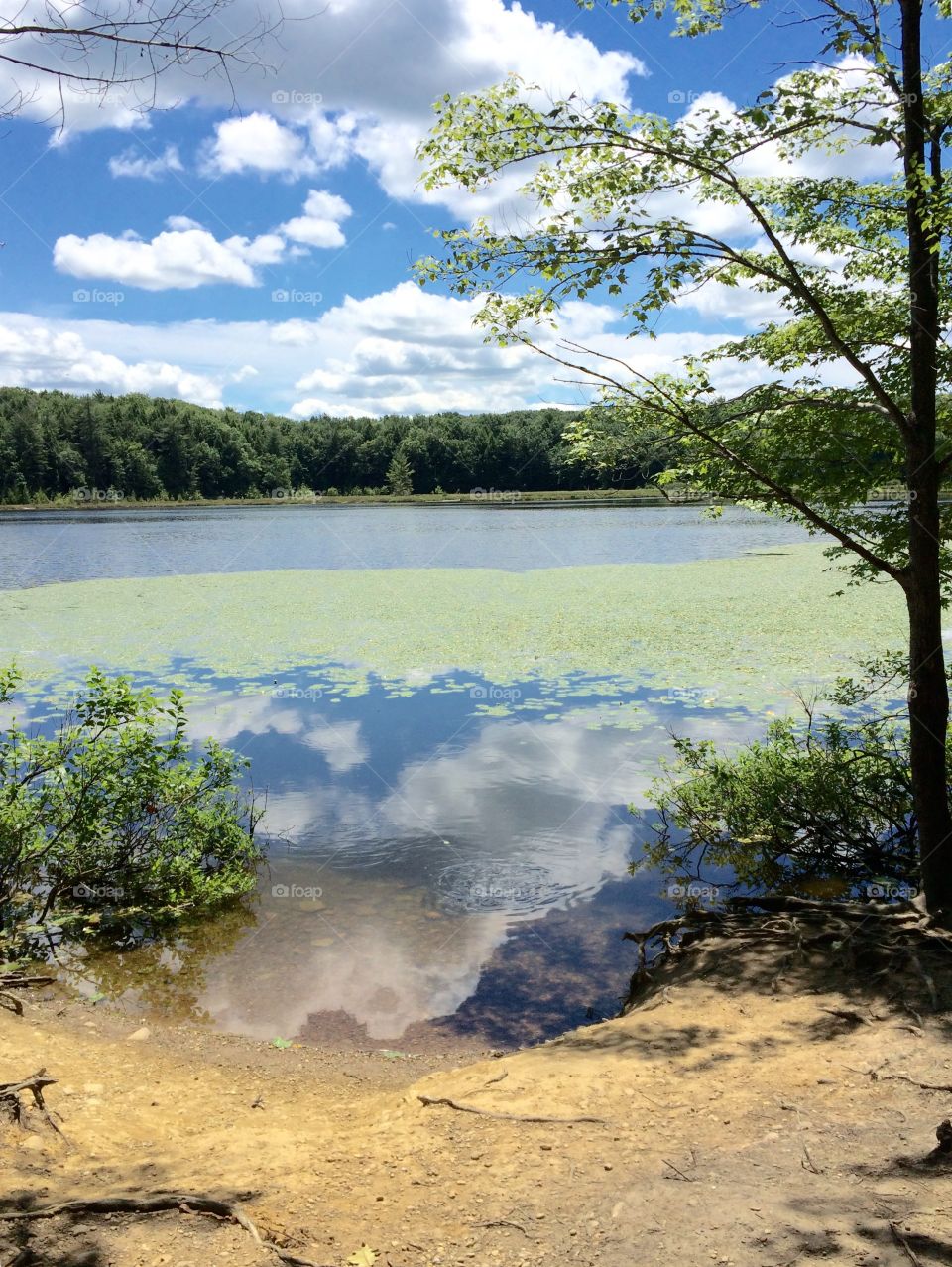 Moss Lake, Rushford, New York