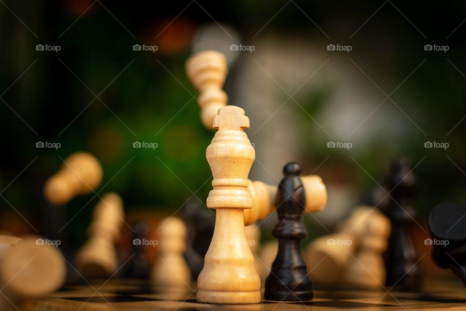 Crazy Wood chess 