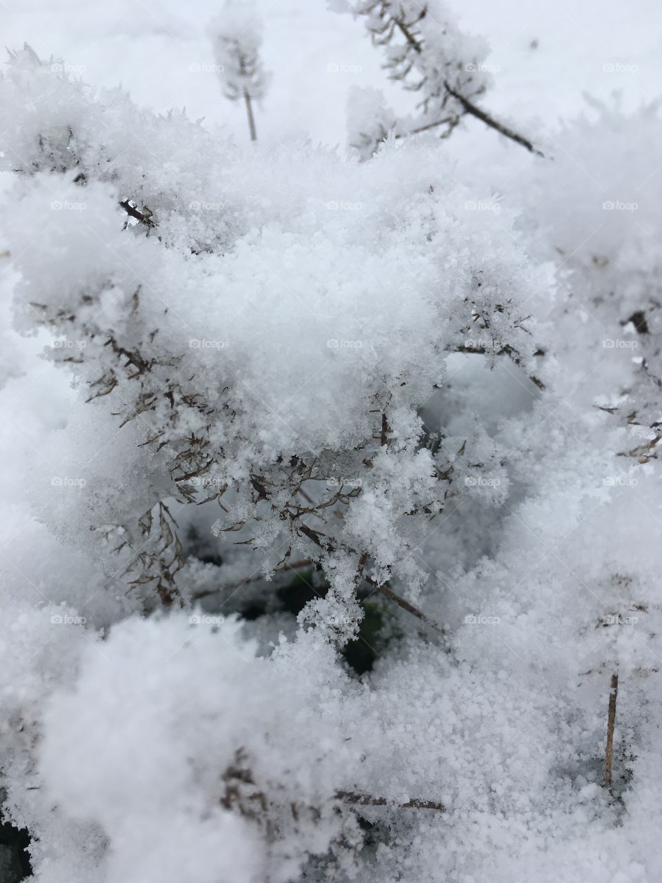 Fluffy snow