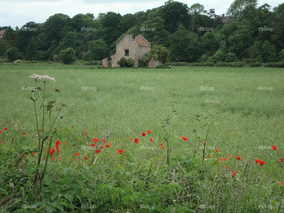 English Countryside