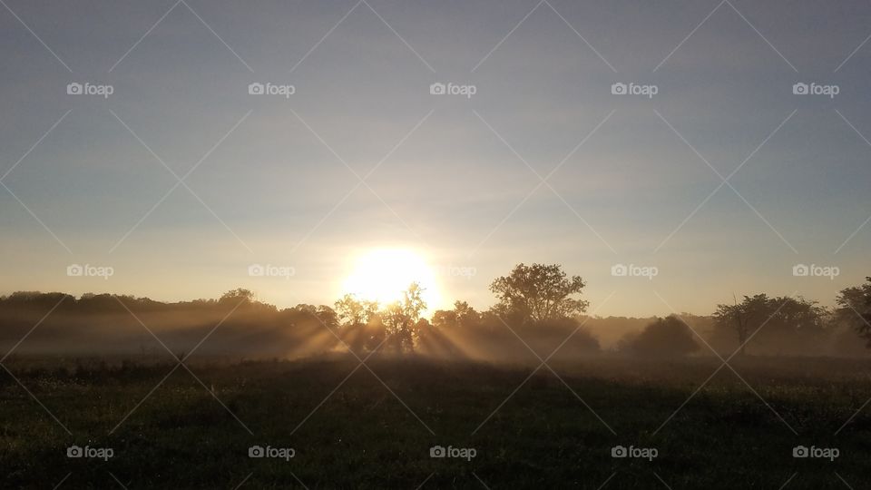 Landscape, Sunset, Dawn, Fog, Sun