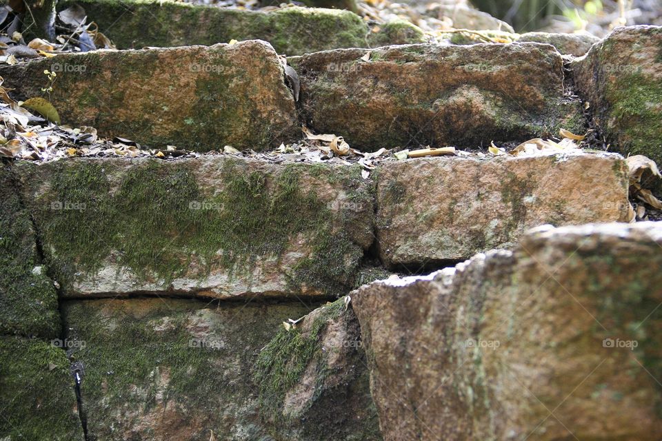 Rectangles are all around us, as seen in this picture of a pathway along a nature trail