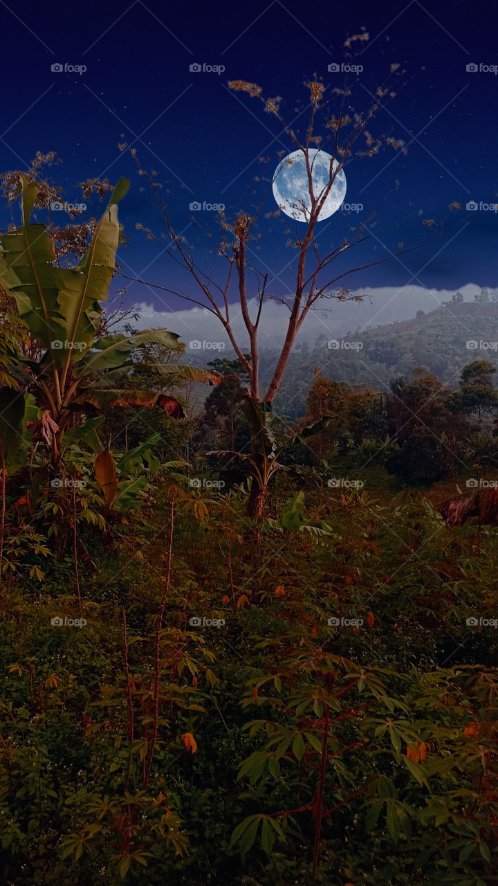 moon