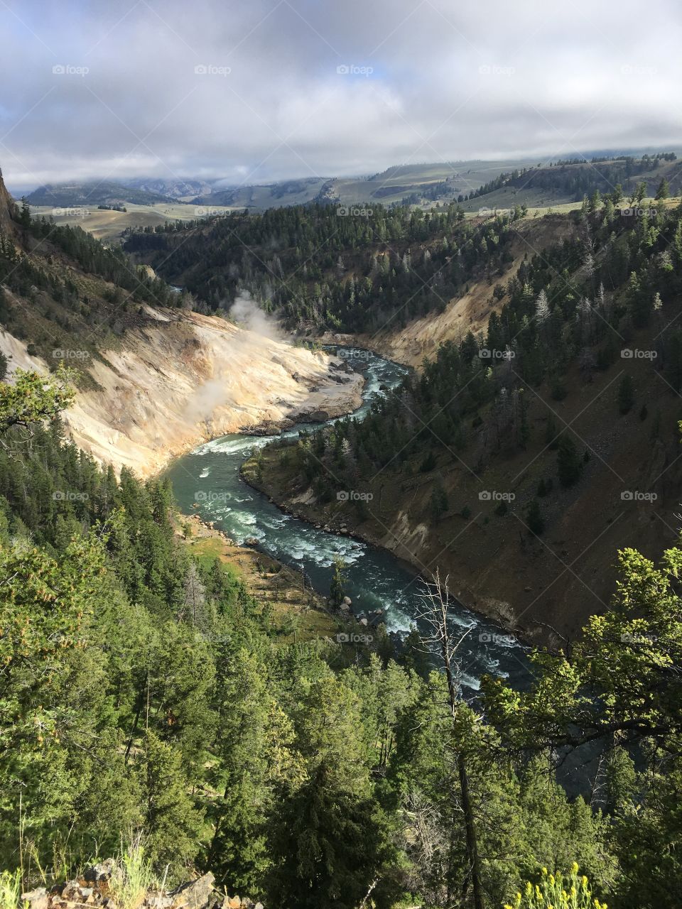 Yellowstone river.