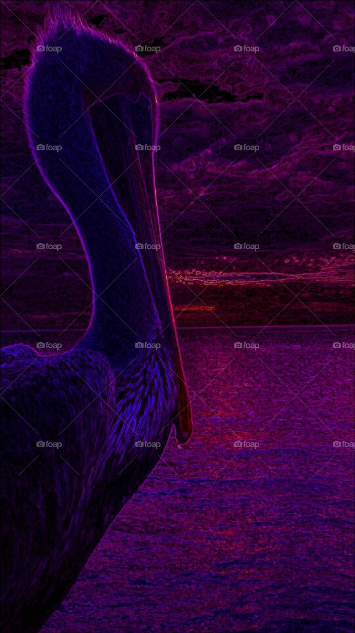 "Pelican & Neon Purple Sunset"