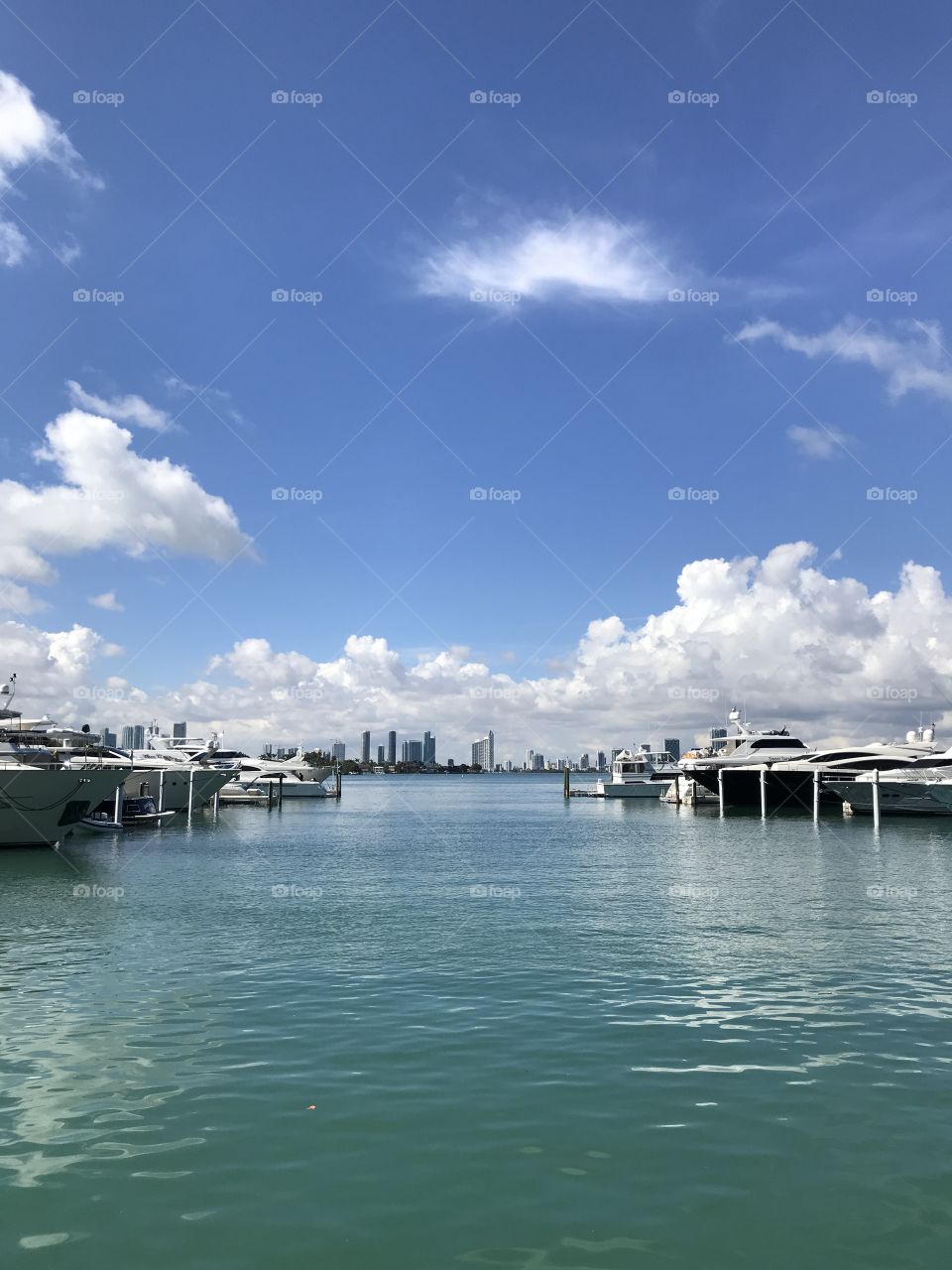 Miami Harbour 