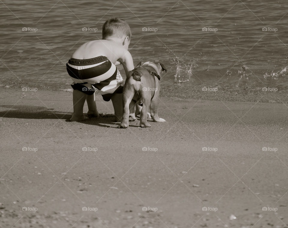 beach dog boy florida by hooksy7