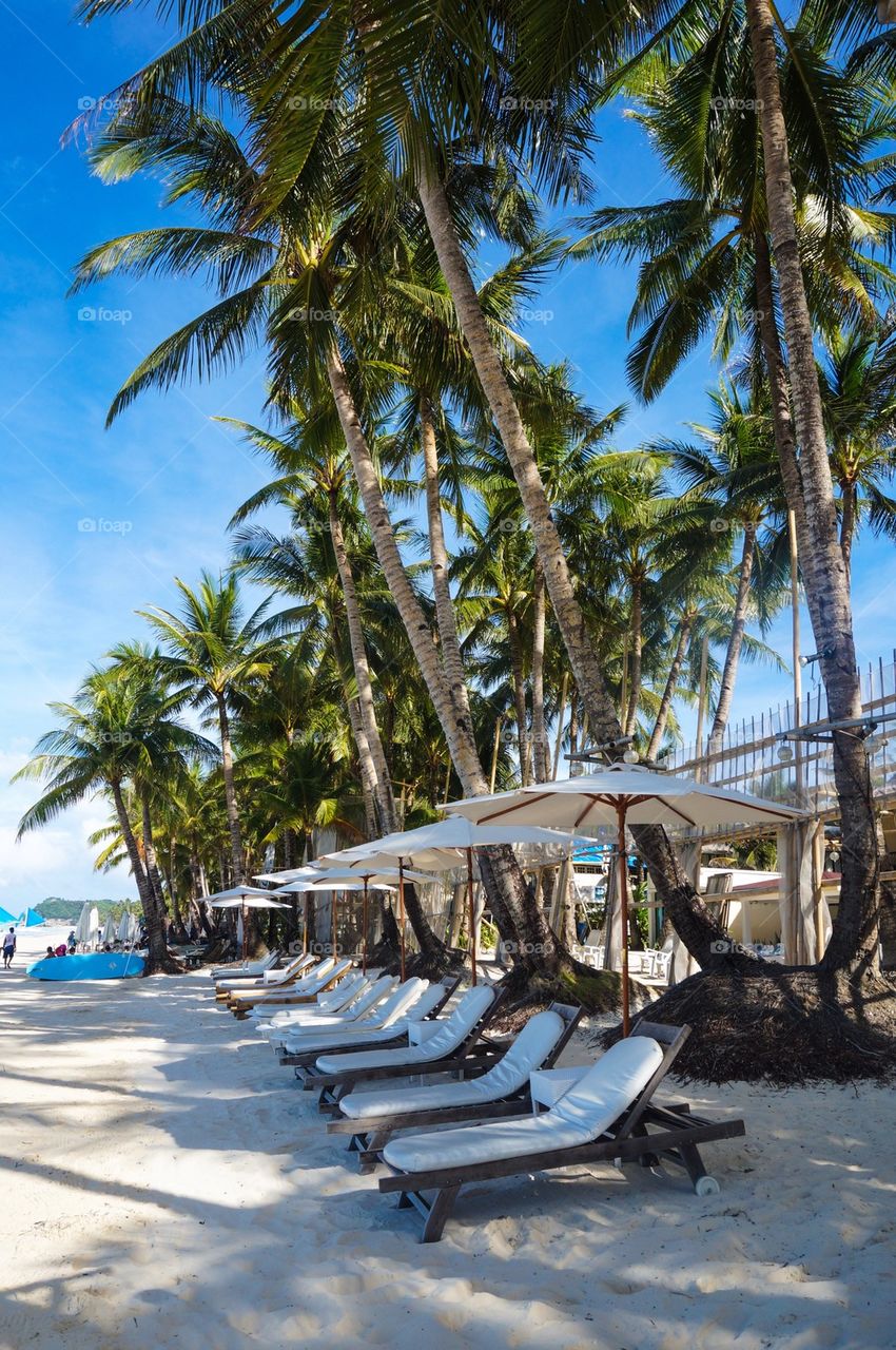 Lounge chairs by the beach