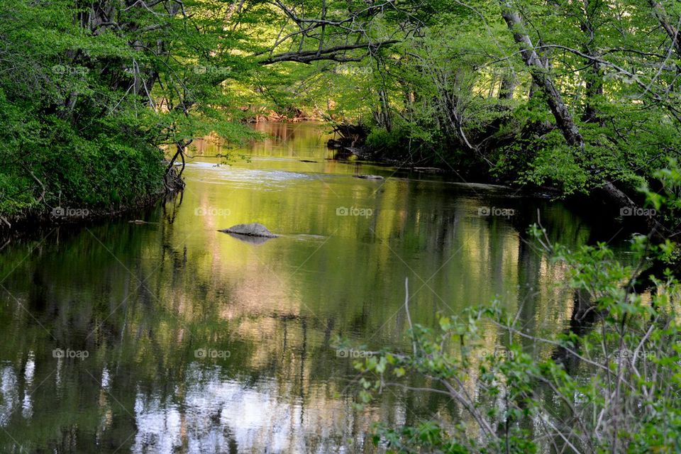 river reflections