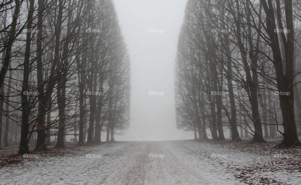 Foggy park, Malmö, Sweden.