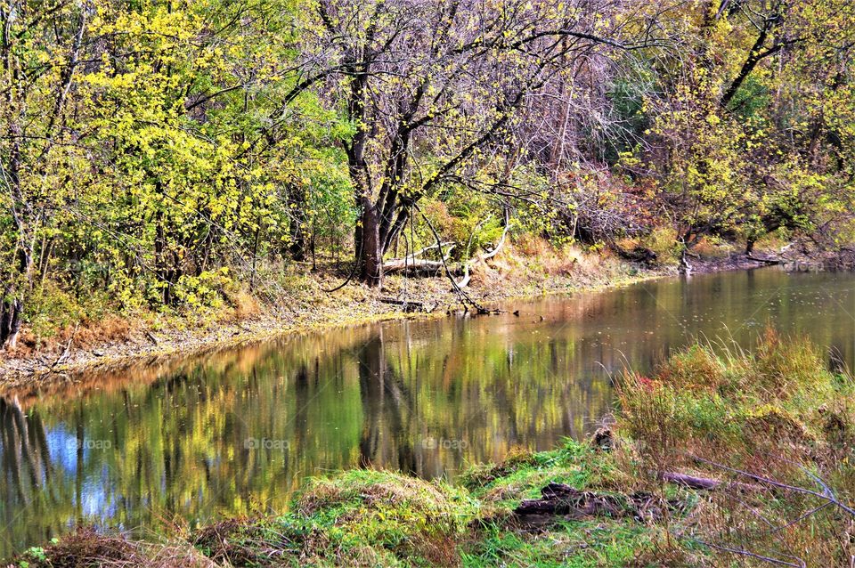 Fall Foliage Creek 