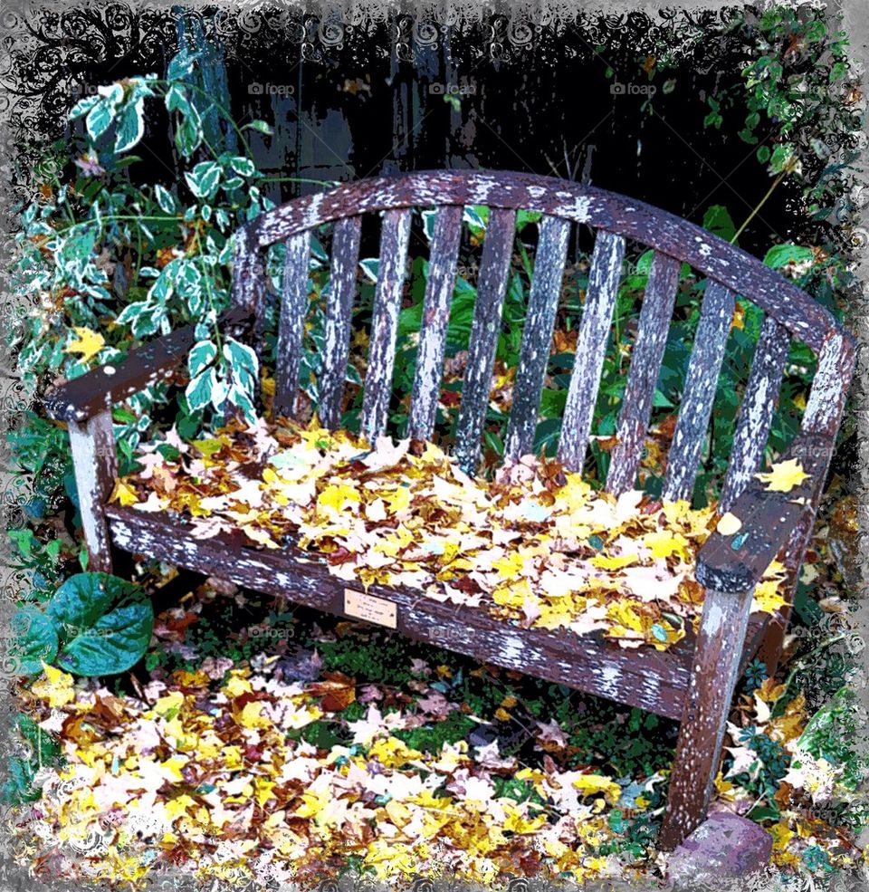 Woodland Bench