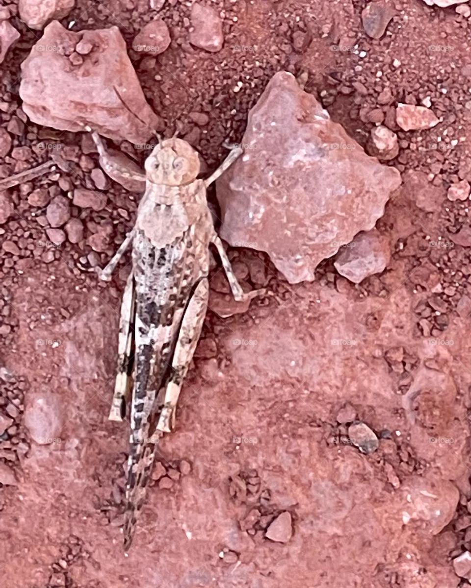 Stillness and patience 