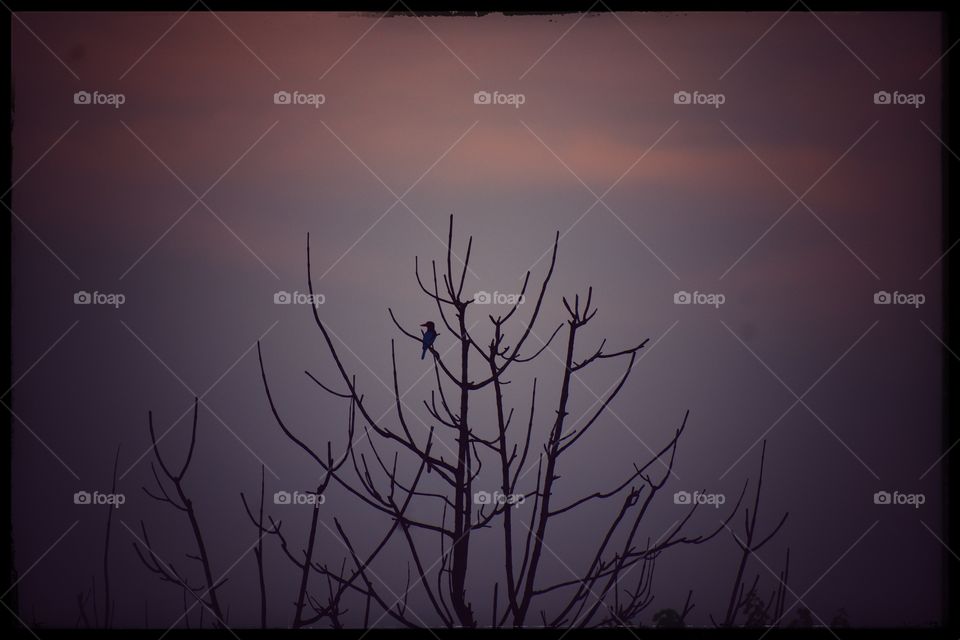 Waiting for her love...