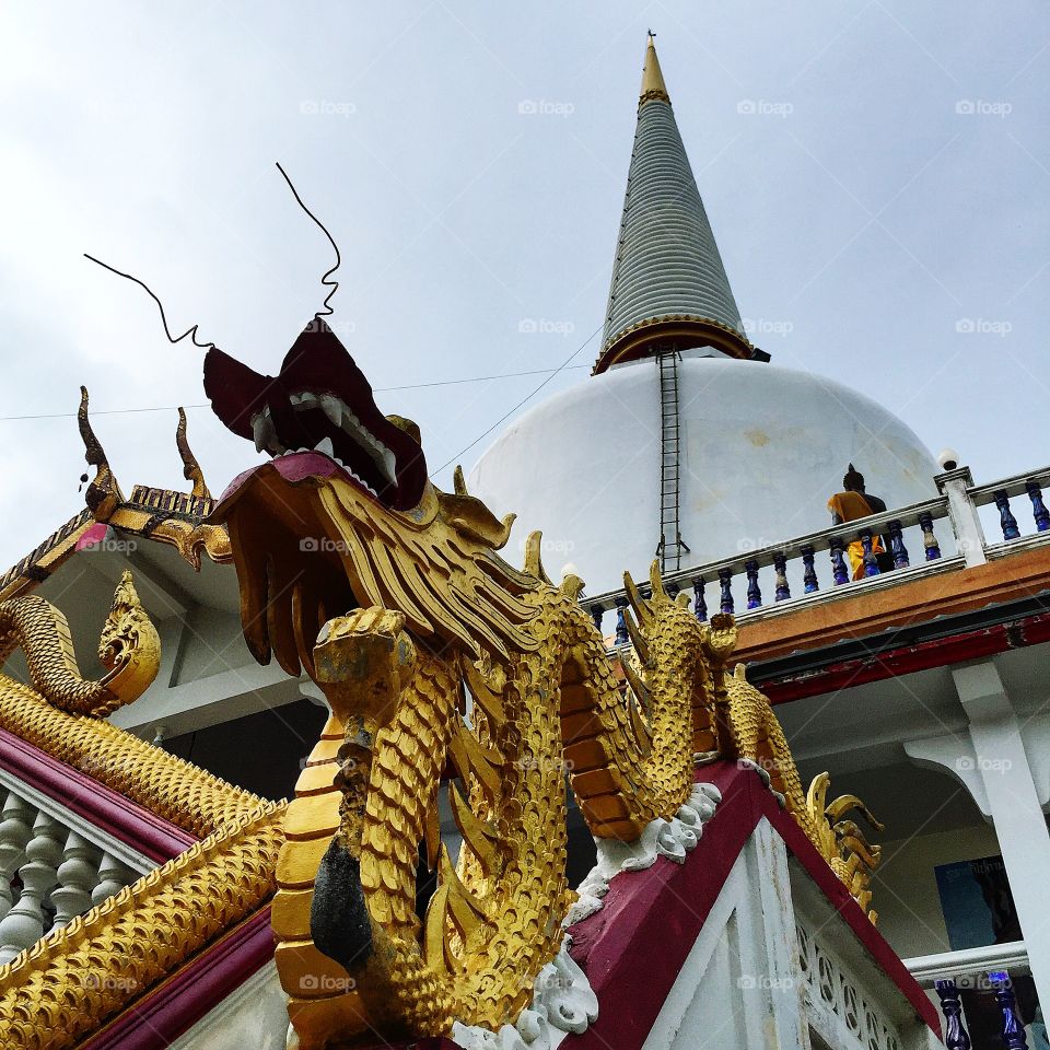 Golden dragon and pagoda in Buddhist temple