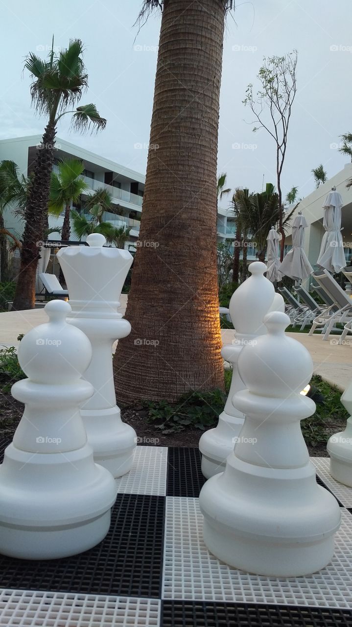 Tropical Chess